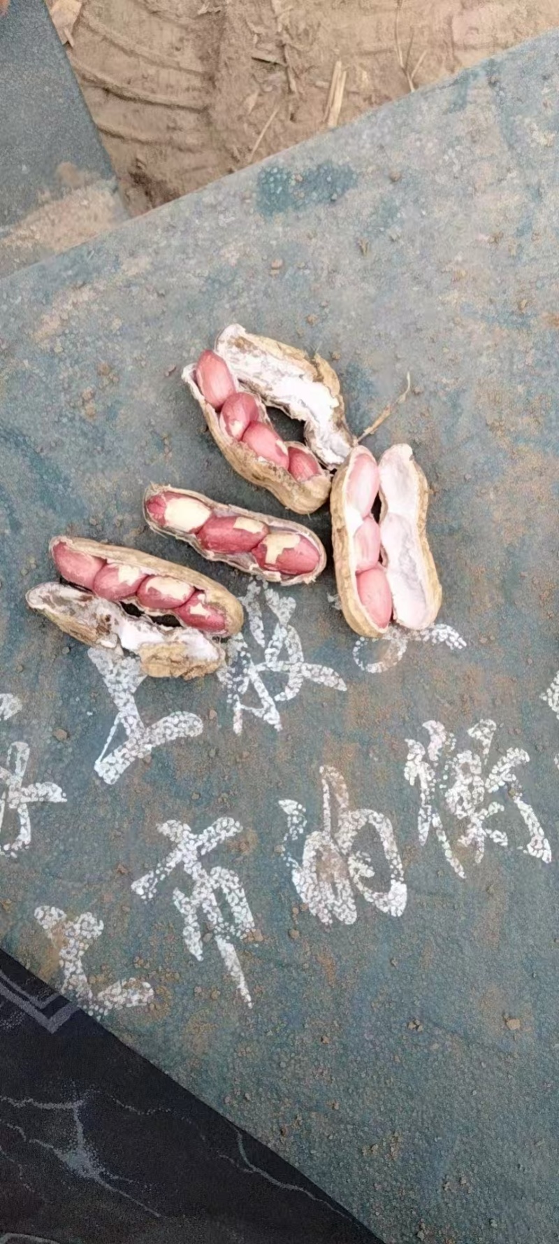 精品花生