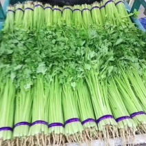 精品香芹