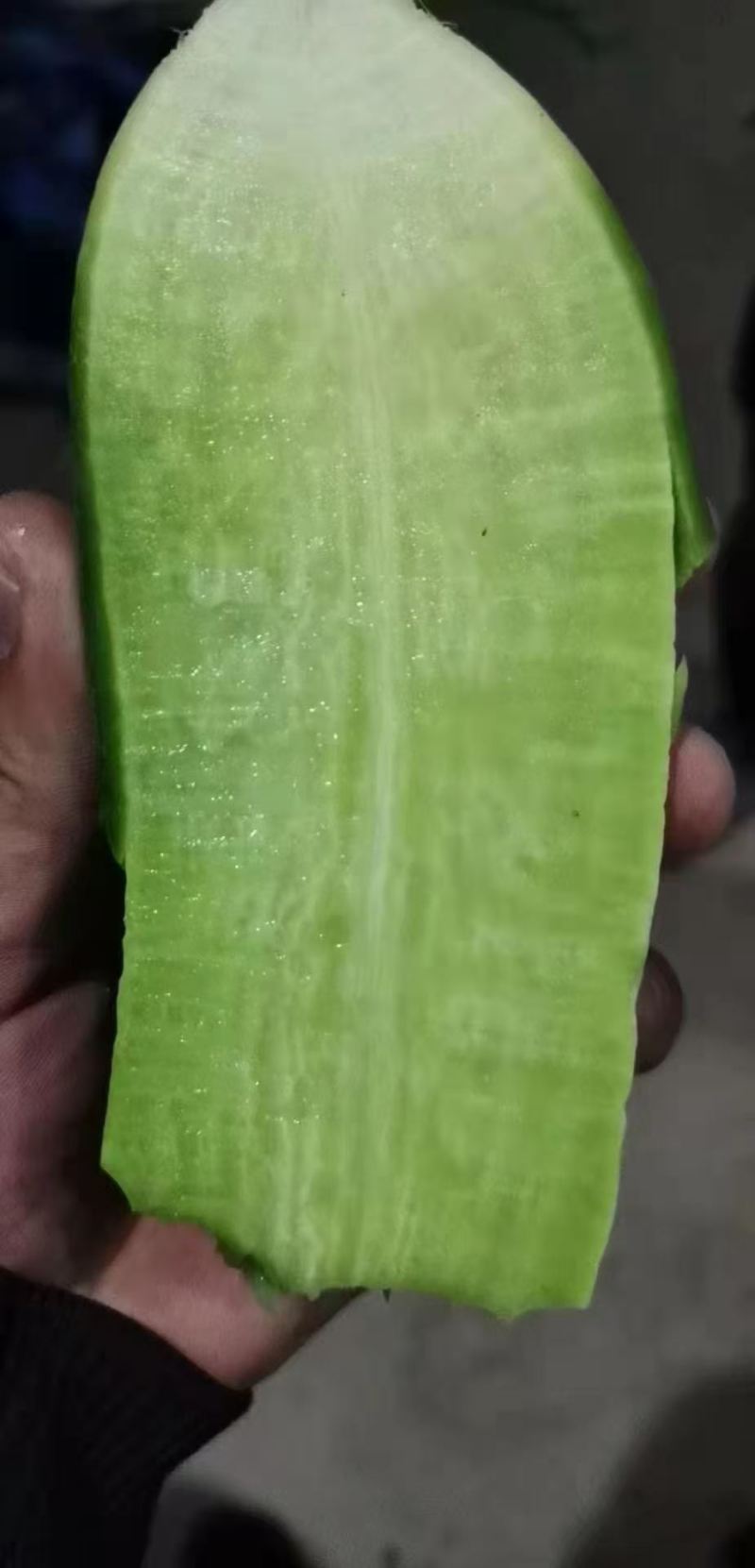 萝卜