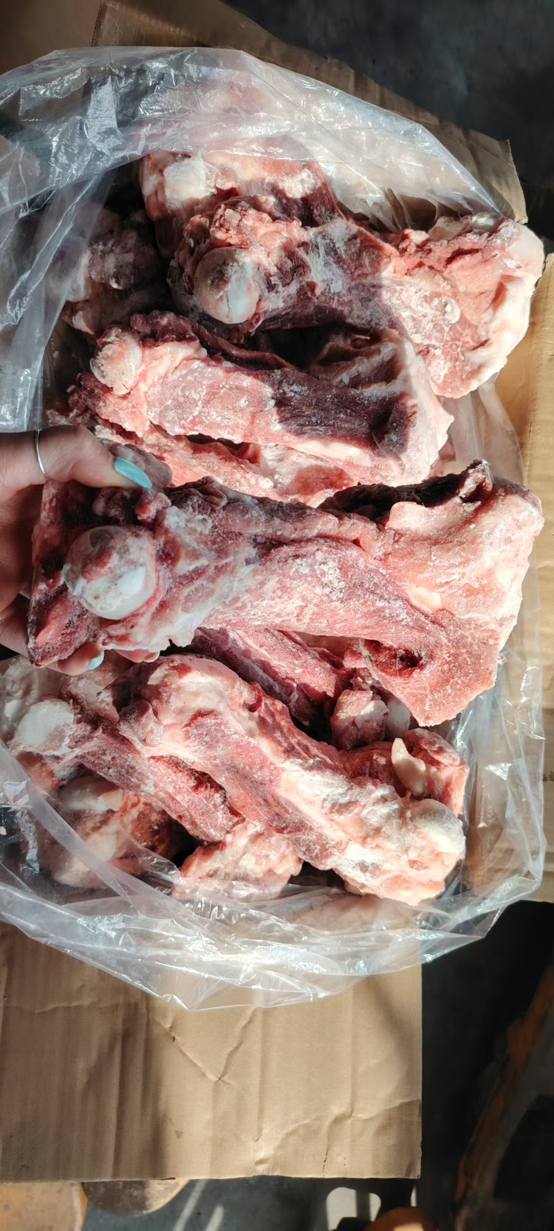 肥猪鲜分后棒骨，清库10500