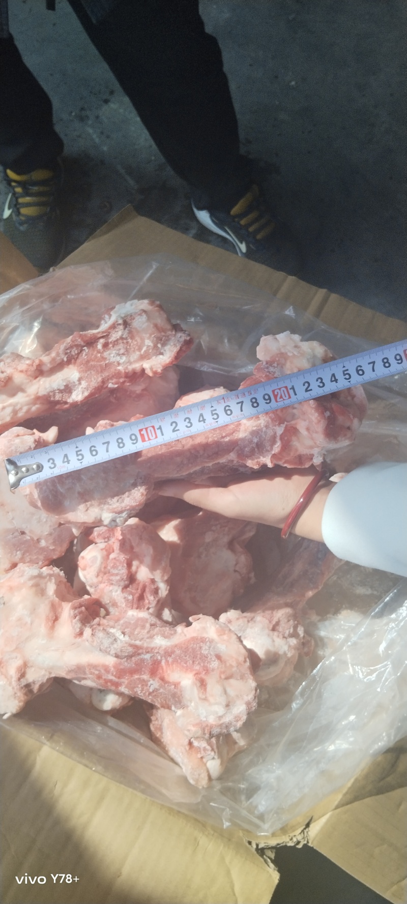肥猪鲜分后棒骨，清库10500
