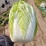 大白菜