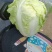 大白菜
