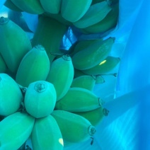 产地直接，品质决定价格。