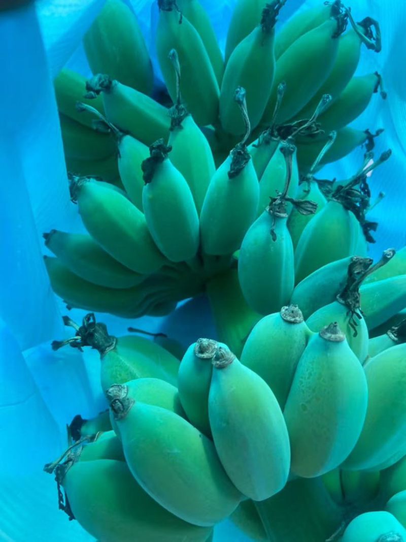 产地直接，品质决定价格。