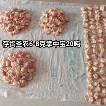 存货圣农6-8克掌中宝20吨