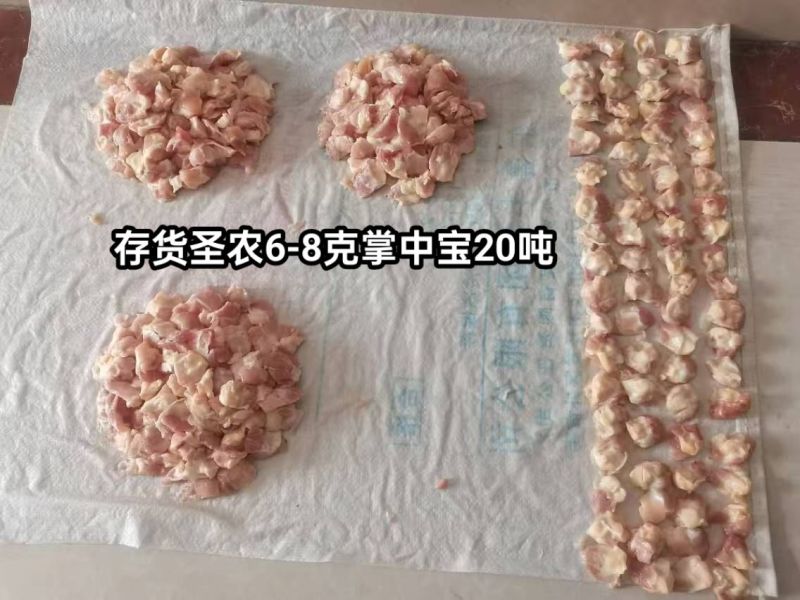 存货圣农6-8克掌中宝20吨