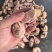 火烧猪蹄块