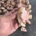 火烧猪蹄块
