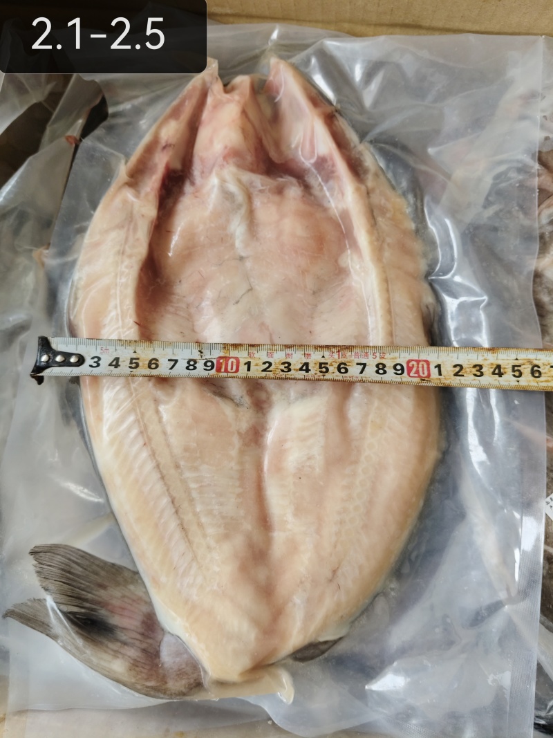 清江鱼黄金规格到货，700-900900-1100