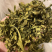香水柠檬叶干丝批发配茶柠檬茶