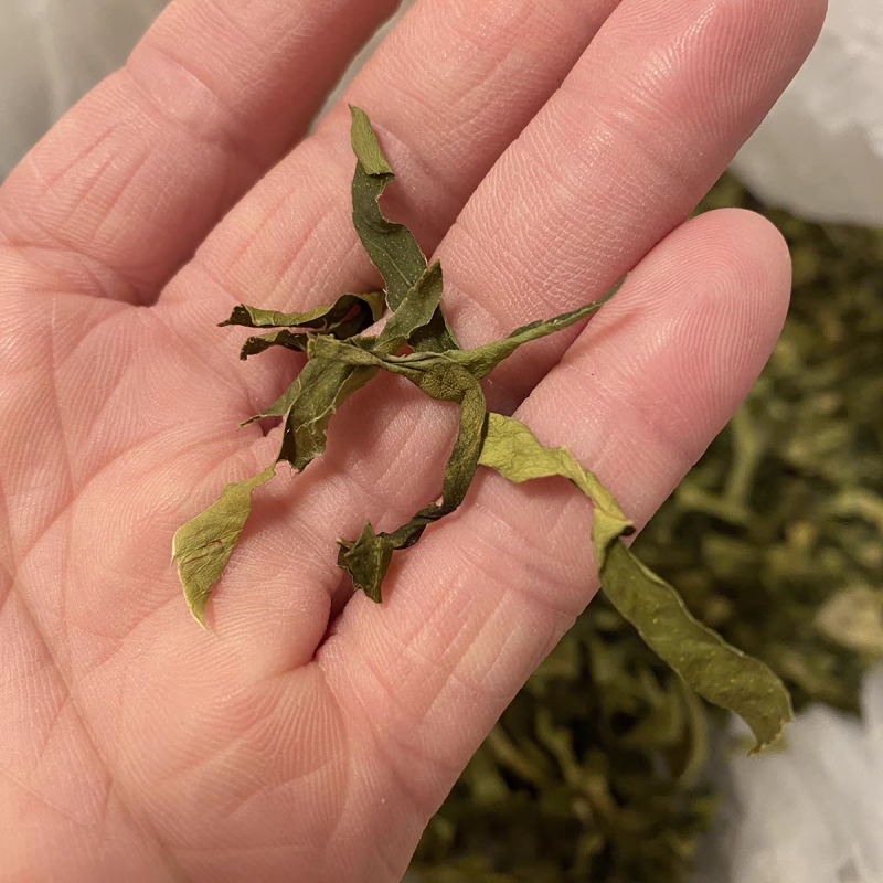 香水柠檬叶干丝批发配茶柠檬茶