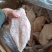 鸡胸肉大肉食鸡胸肉冰冻鸡胸肉品种齐全质量产量稳定手续齐全国物