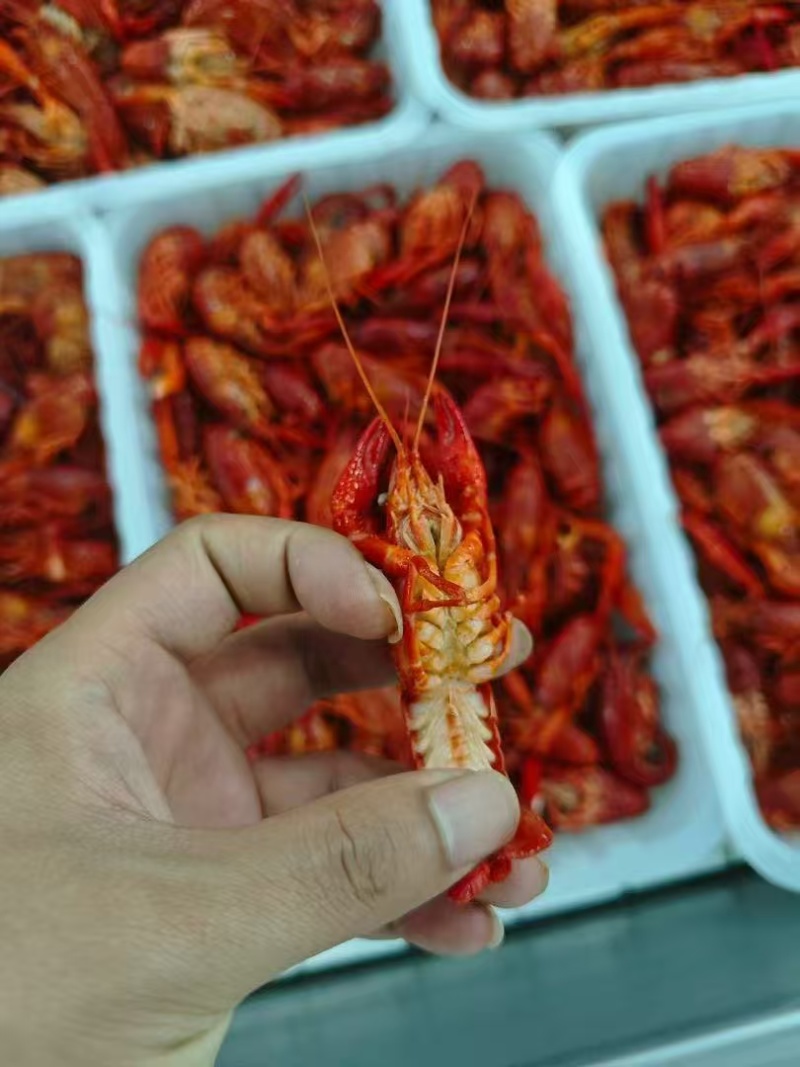 油炸液氮小龙虾