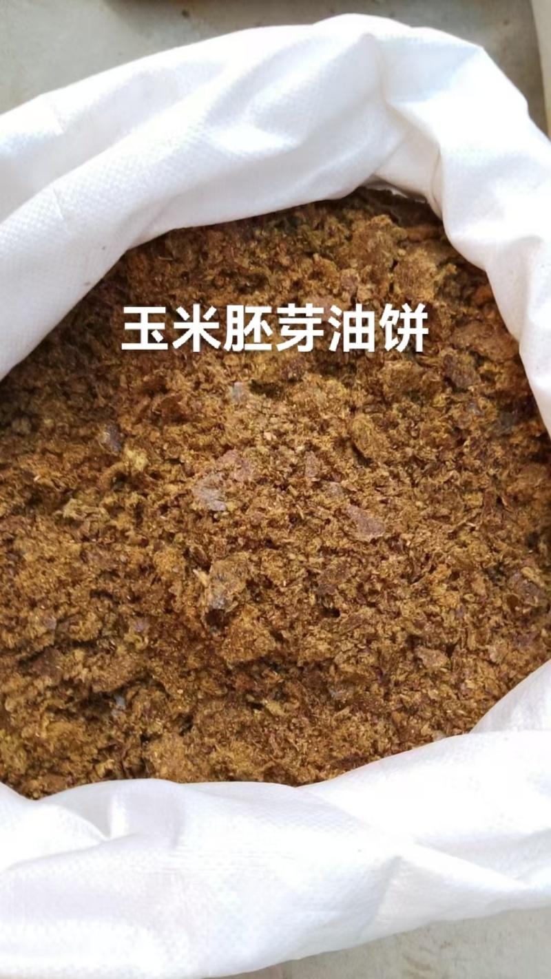 玉米胚芽油饼，蛋白16.6脂肪10.5水分8.1,替代玉