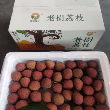 老树荔枝泡沫箱装多个款式！保质保量