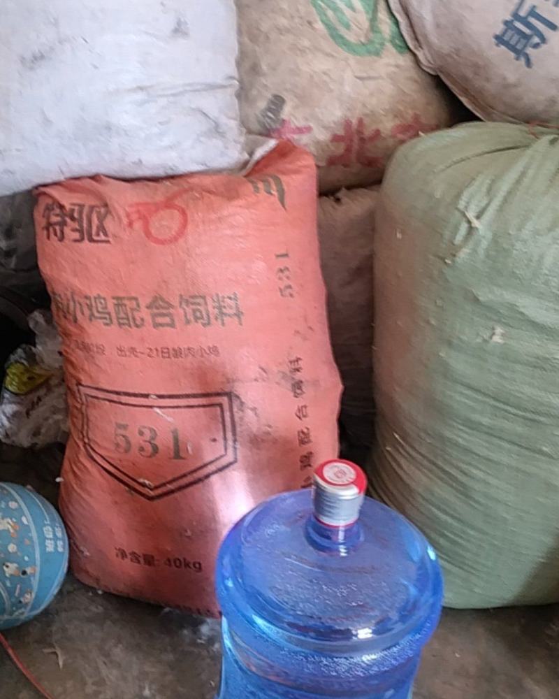 干鹅毛