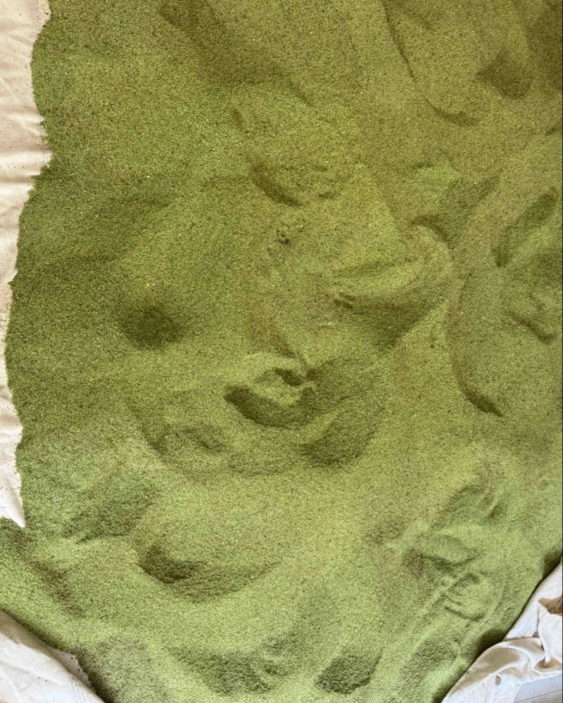 售卖优质精选纯手工收货猫爪草种子