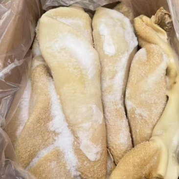 牛肚