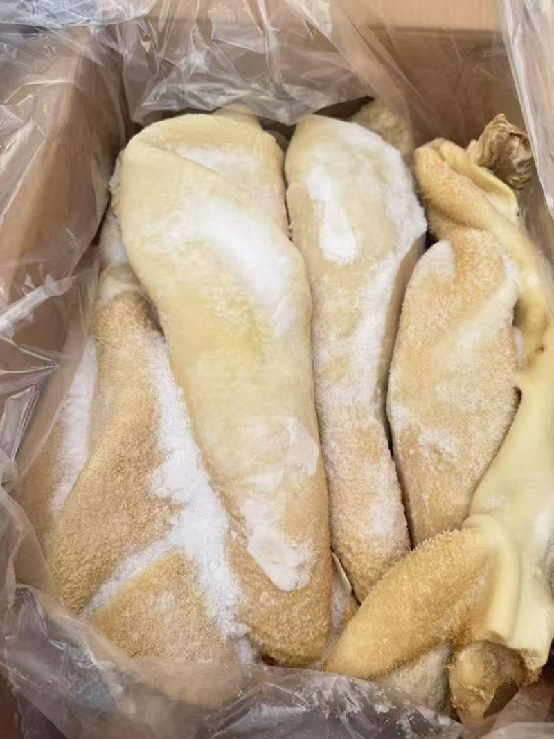 牛肚