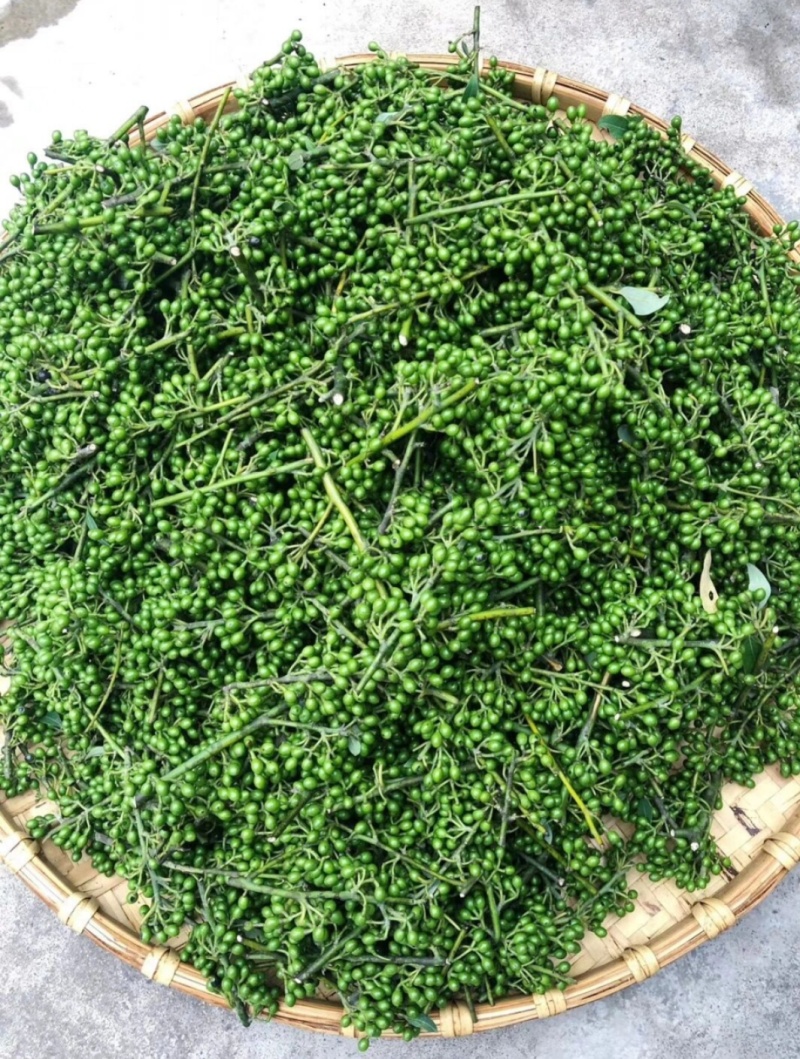 ***野生山货