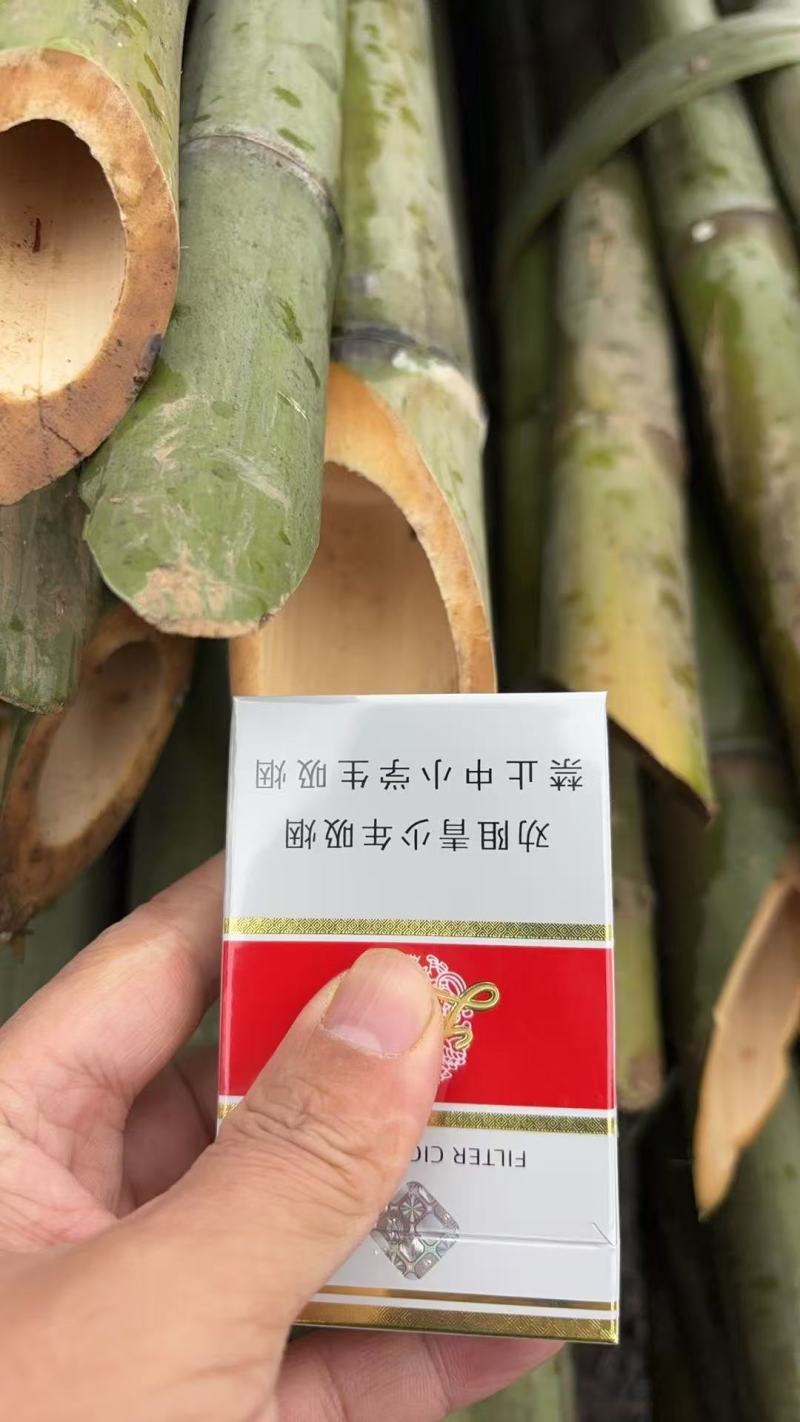 竹木销售