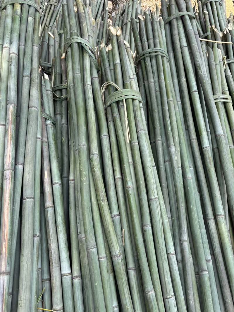 竹木销售