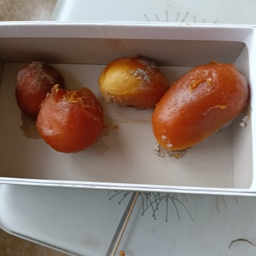 鸡宝