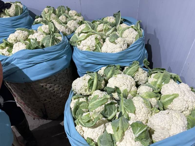 新鲜花菜青白杆都有