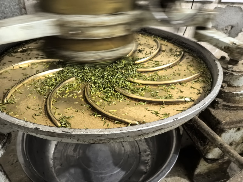 信阳毛尖大山茶