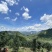 云南夏威夷果种植基地量大澳洲坚果原种夏威夷果正品货源稳定