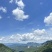 云南夏威夷果种植基地量大澳洲坚果原种夏威夷果正品货源稳定