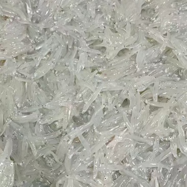 湛江熟的银鱼仔