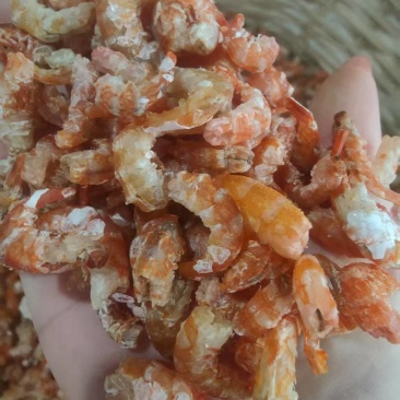 海虾干
