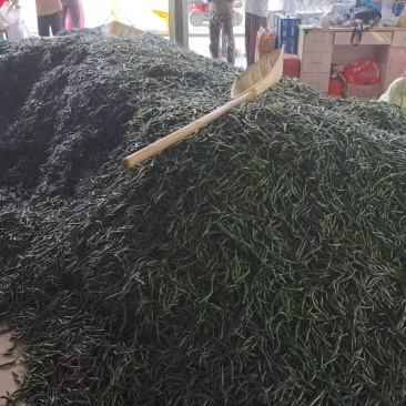 小米辣椒