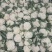 花菜