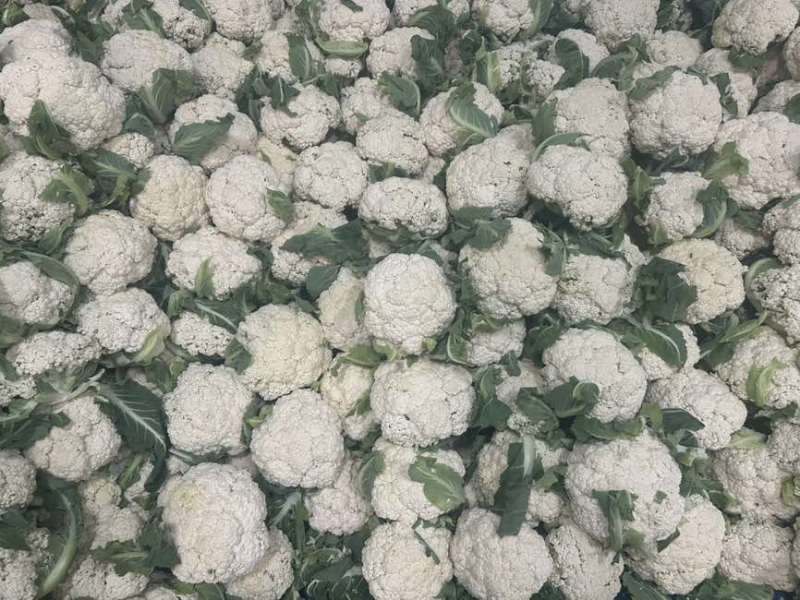 花菜