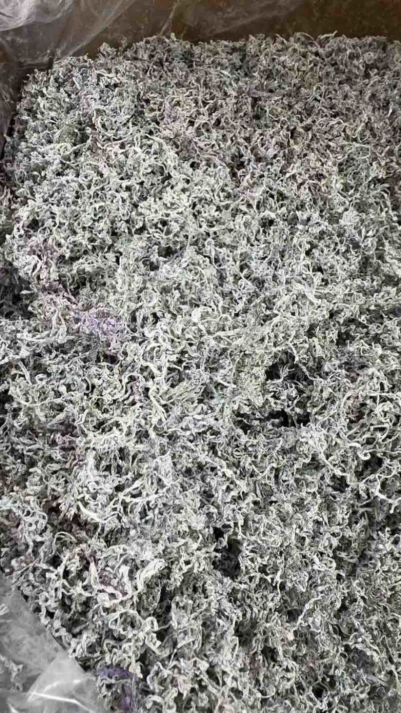 莓茶批发