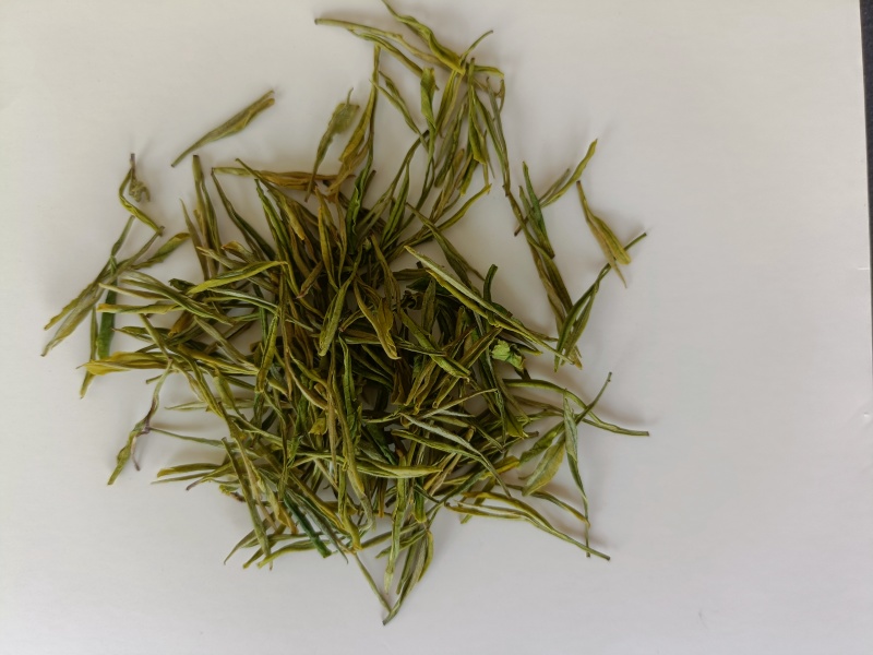 黄金茶叶