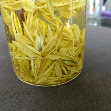 黄金茶叶