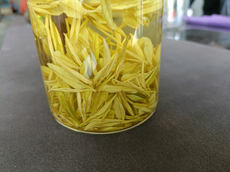 黄金茶叶