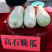高石脆瓜