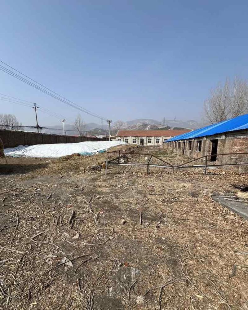 养殖场地