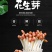 花生芽