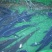无人区山泉水吊水草鱼、雄鱼