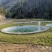 无人区山泉水吊水草鱼、雄鱼