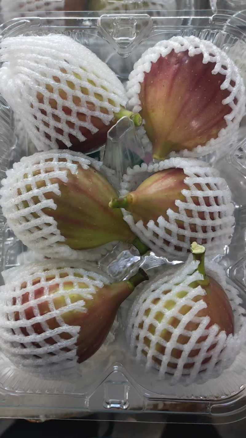 广州南沙伟东无花果种植基地波姬红无花果，口感清甜