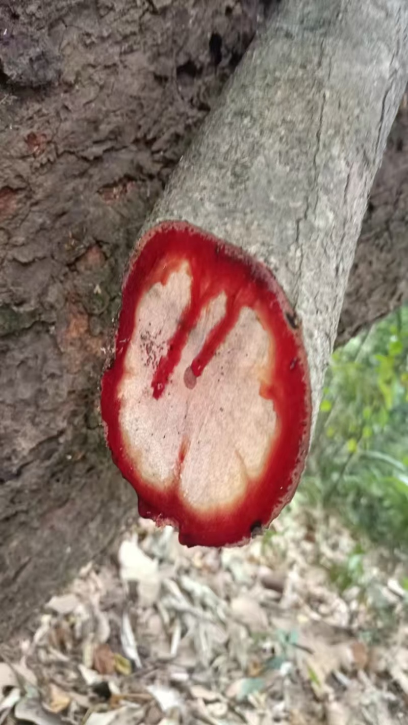 干货湿货都有，需要联系