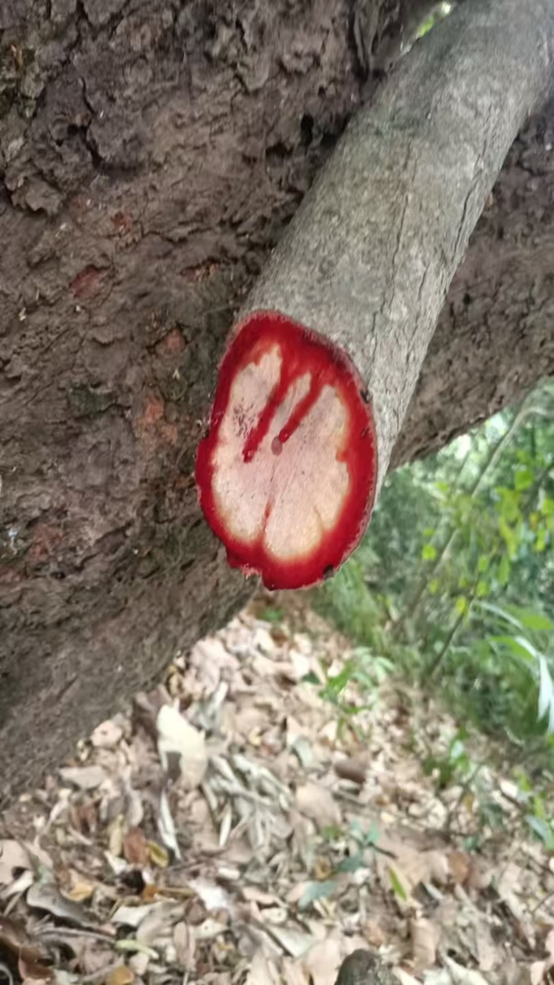 干货湿货都有，需要联系