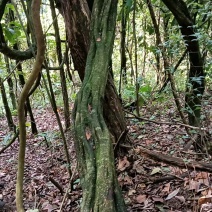 干货湿货都有，需要联系